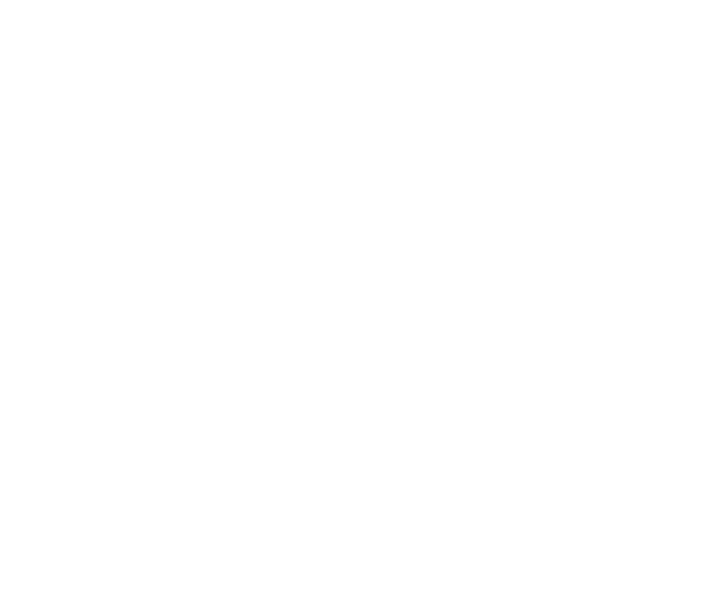 Magnifique Logo
